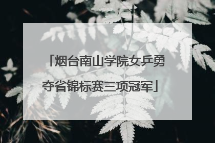 烟台南山学院女乒勇夺省锦标赛三项冠军